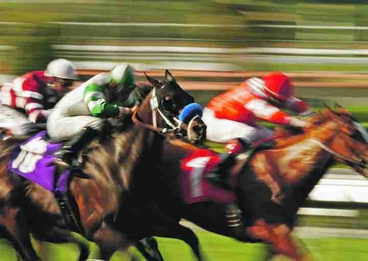 The Cheltenham Festival