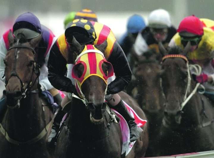 The Sport of Kings