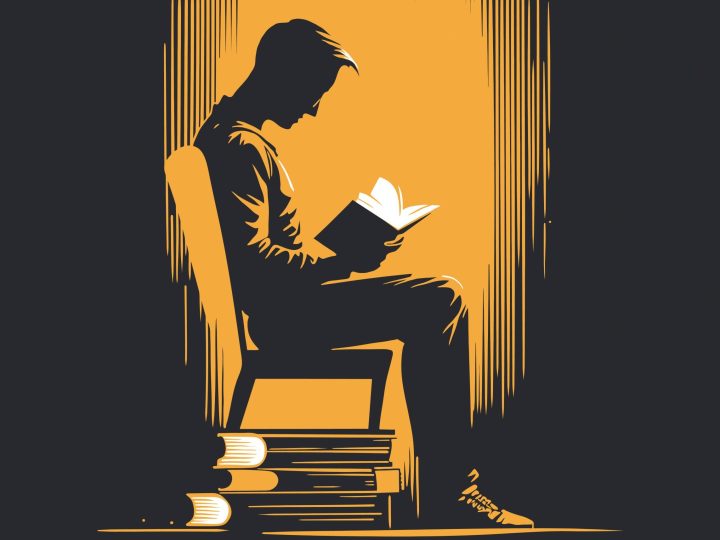 Handbook for Travellers in the justice system